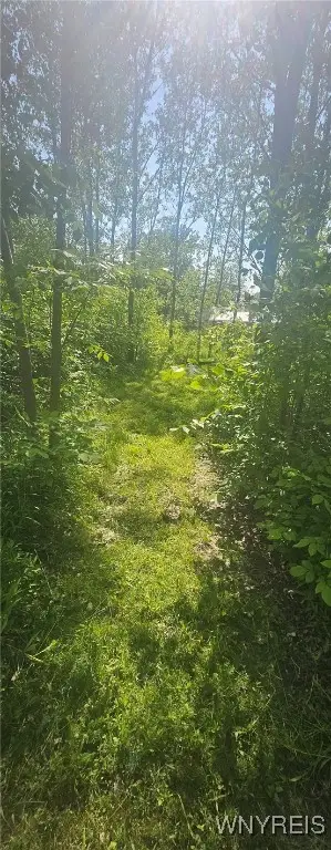 VL (A) Mapleton Road, Sanborn, NY 14132 - Image #2