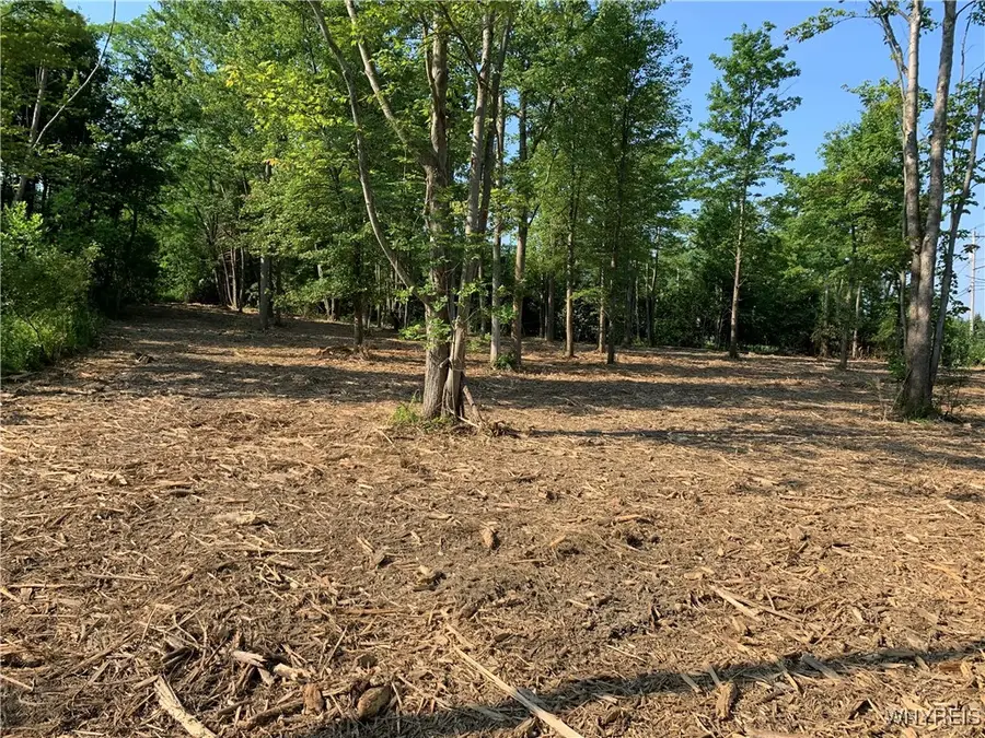 8393 Southwestern Boulevard, Angola, NY 14006 - Image #3