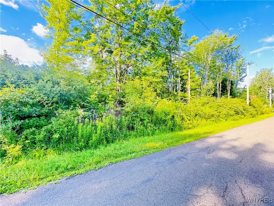 0 Sycamore Street, Angola, NY 14006 - Image #3