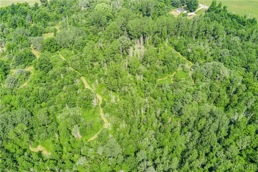 V/L Coleman Road, Barker, NY 14012 - Image #2