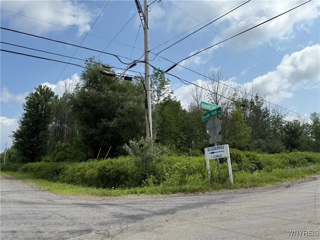 10103 S Hill Road, Springville, NY 14141 - Image #1