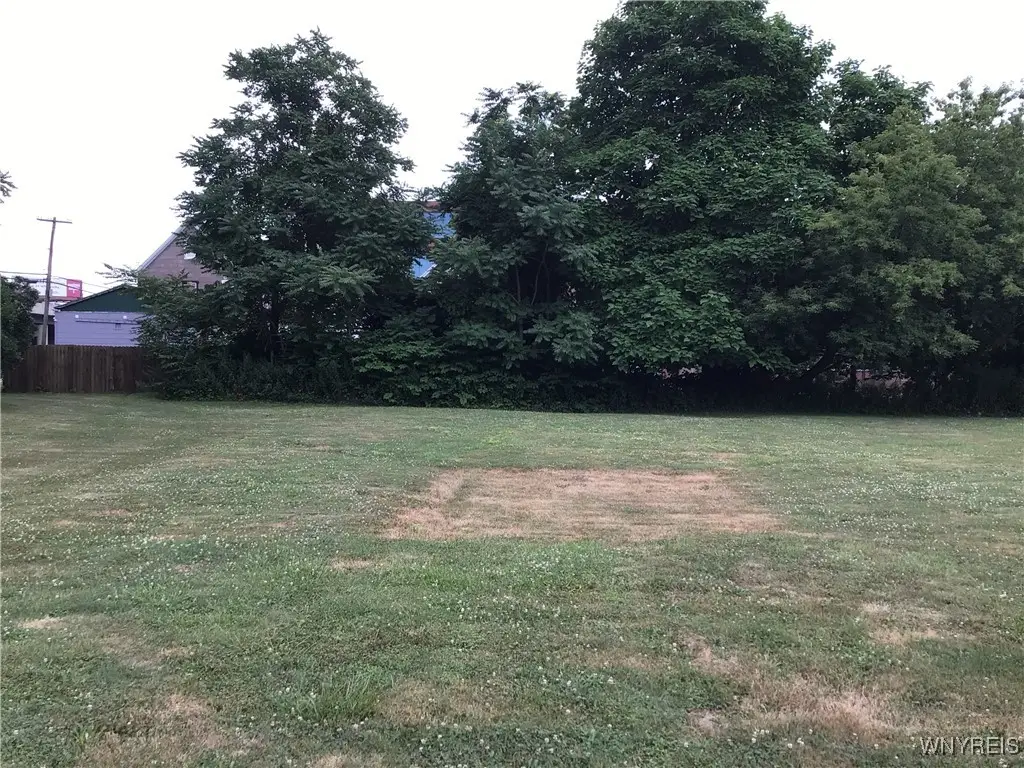 143 Orlando Street, Buffalo, NY 14210 - Image #1