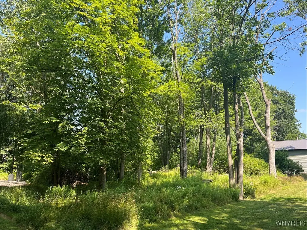 36 Irvington Drive, Buffalo, NY 14228 - Image #1