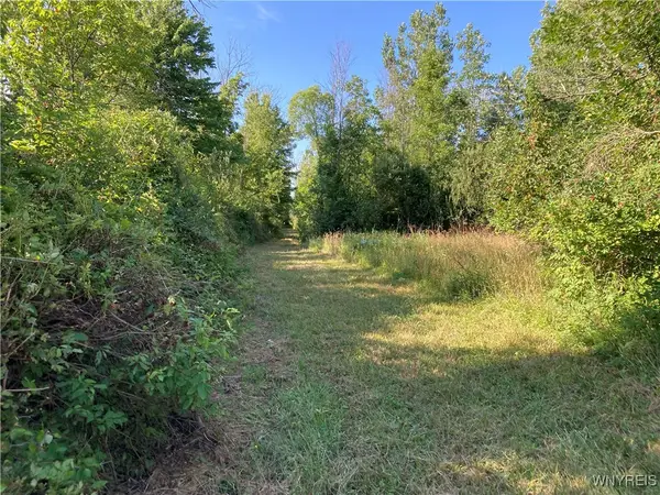 Brucker Road, Akron, NY 14001