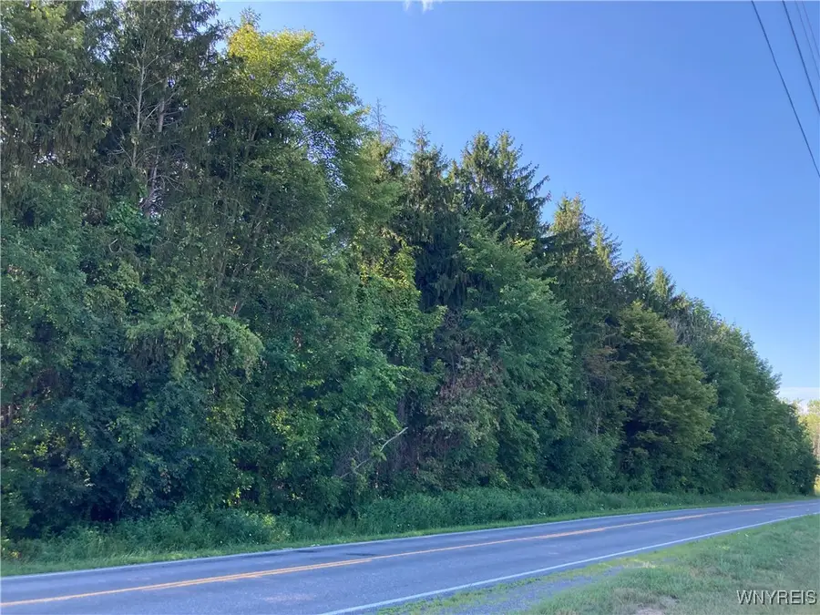 Brucker Road, Akron, NY 14001 - Image #2