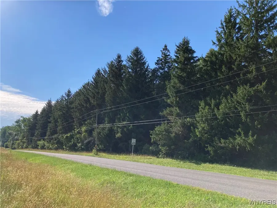 Brucker Road, Akron, NY 14001 - Image #3