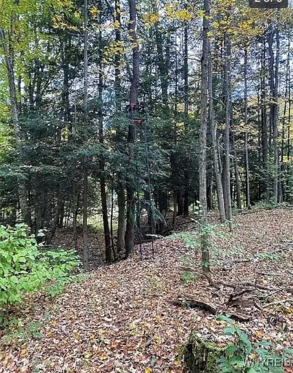 0 E Holland Road, Holland, NY 14080 - Image #3