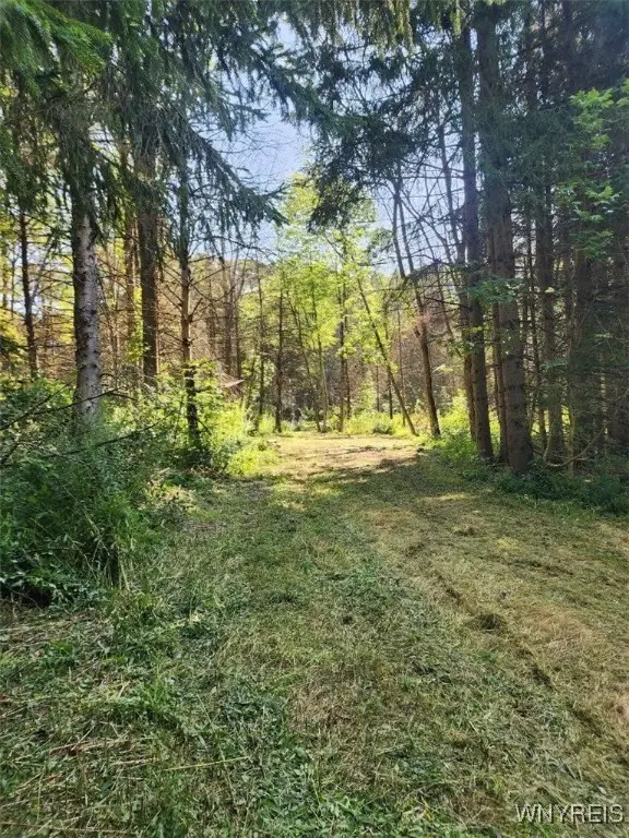 6984 Bowers Road, Cassadaga, NY 14718 - Image #2