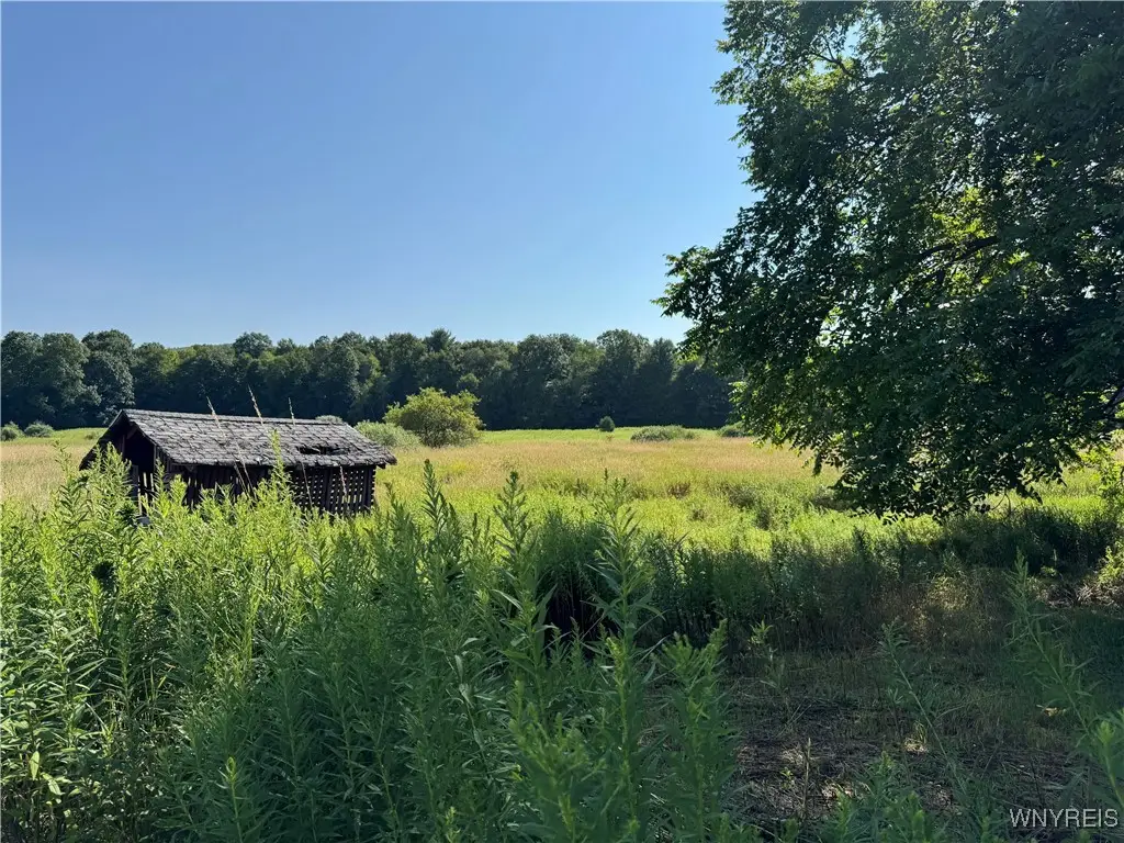 1446 Penn Avenue, Weston Mills, NY 14788 - Image #1