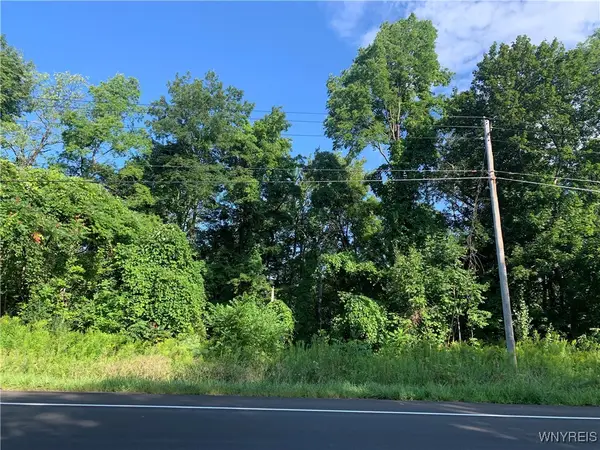 Route 62, Dayton, NY 14041