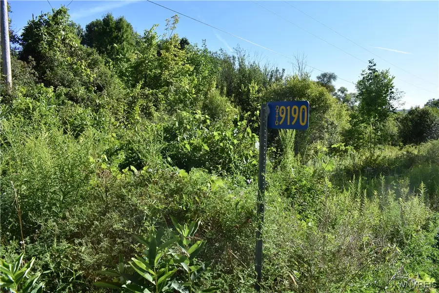 9190 Ball Road, Cattaraugus, NY 14719 - Image #2