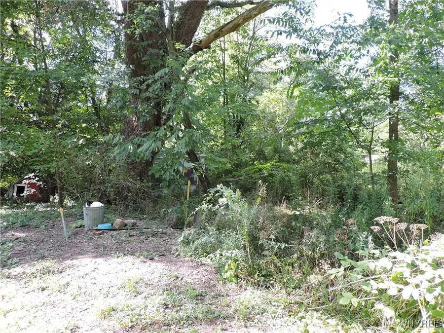 11232 Snyder Road, Springville, NY 14141 - Image #2