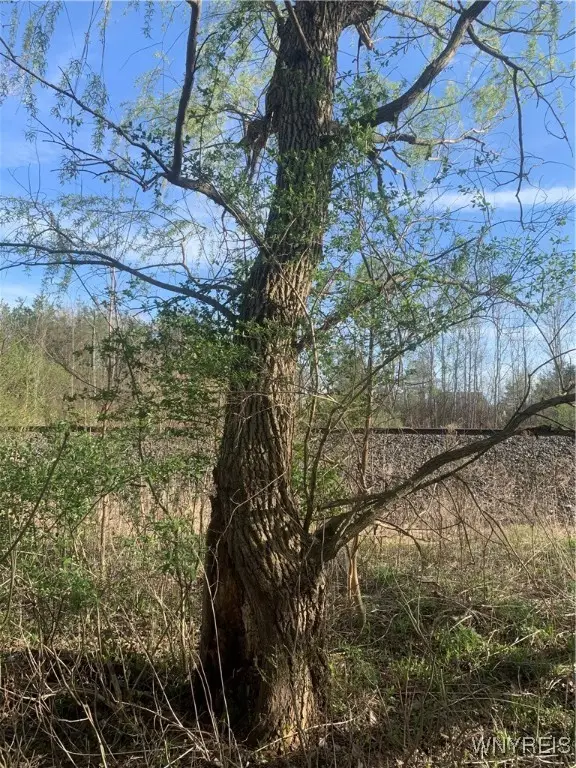 265 Erie Street, Lancaster, NY 14086 - Image #3