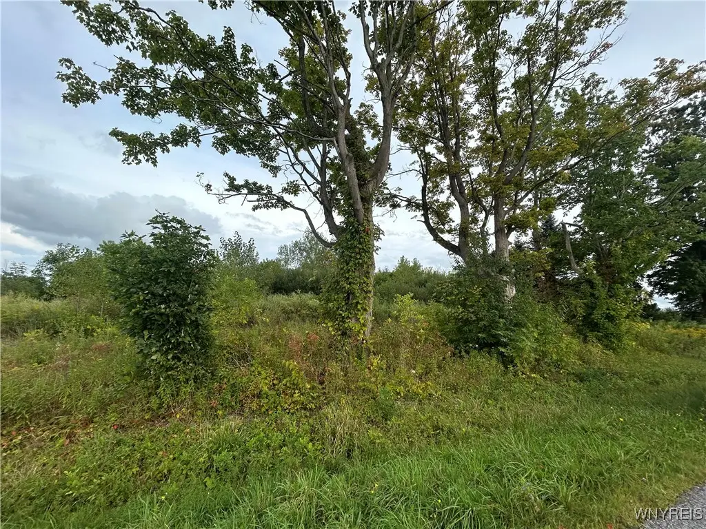 7507 Greenbush Road, Akron, NY 14001 - Image #1