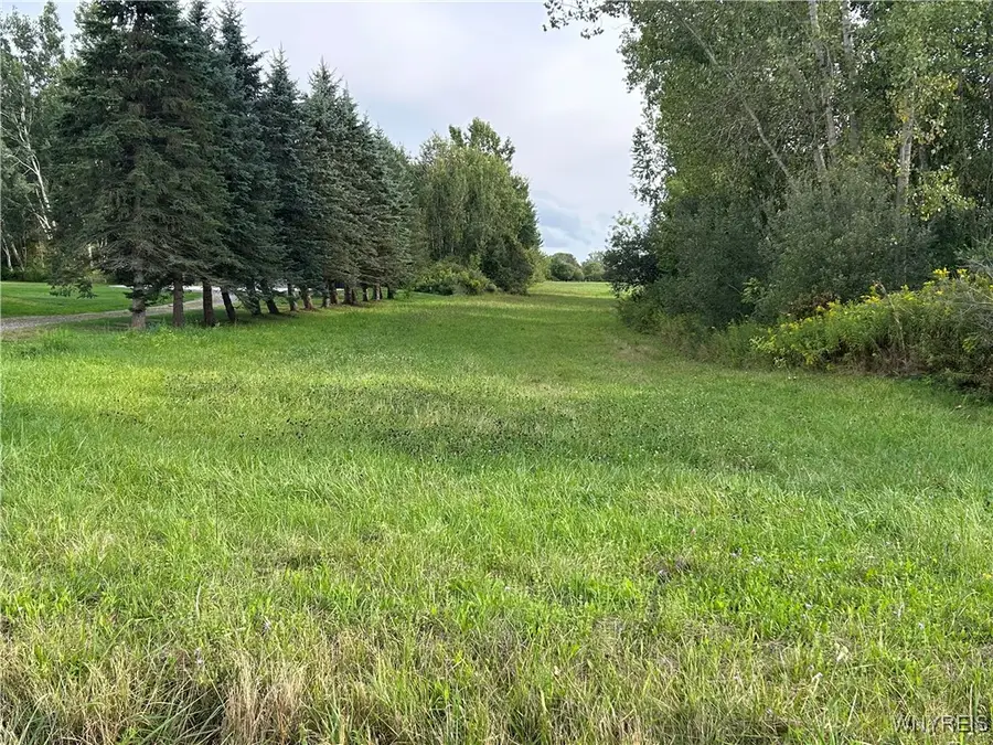 VL Swift Mills Road S, Akron, NY 14001 - Image #3