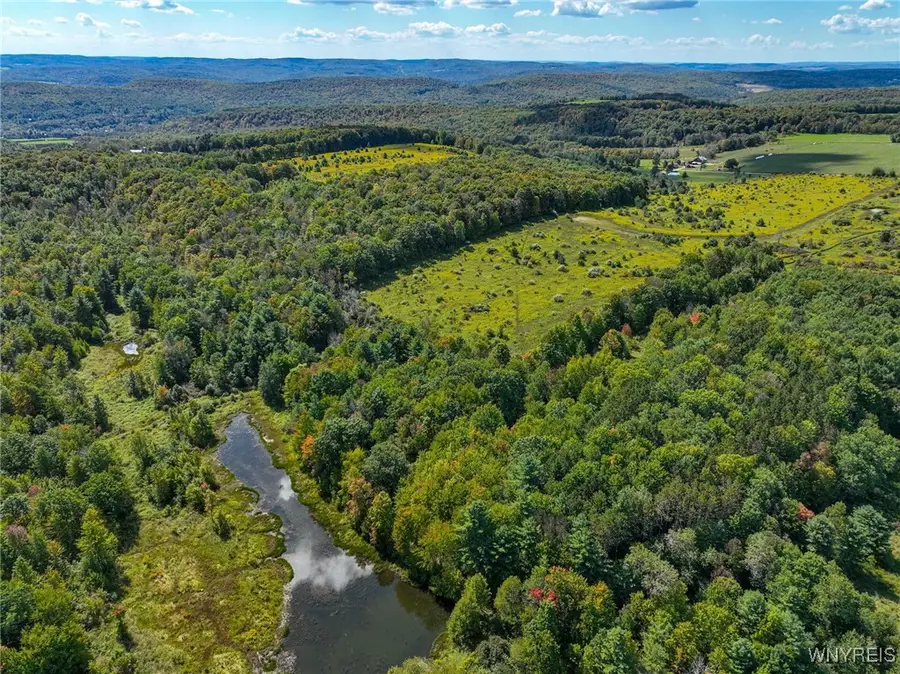 5420 Reed Road, Friendship, NY 14739 - Image #3