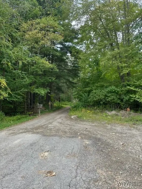 Sullivan Hollow Extension, Great Valley, NY 14741 - Image #2