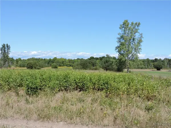 VL 121 Sturgeon Point Road, Derby, NY 14047