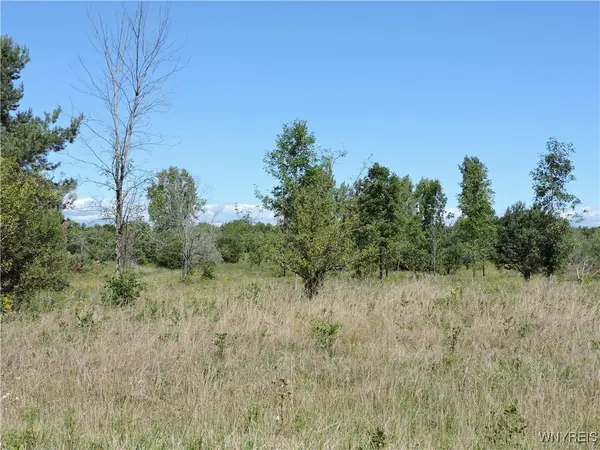 VL 122 Sturgeon Point Road, Derby, NY 14047