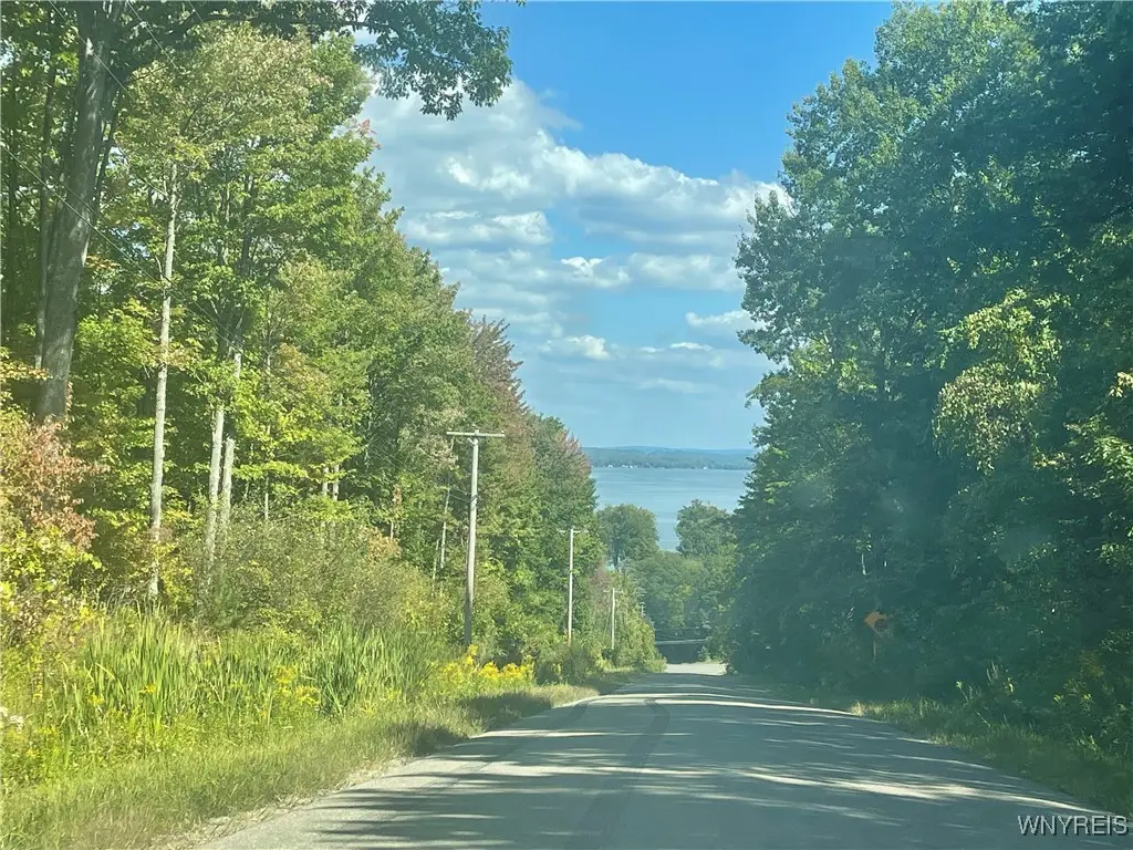 0 Bly Hill Rd, Ashville, NY 14710 - Image #1