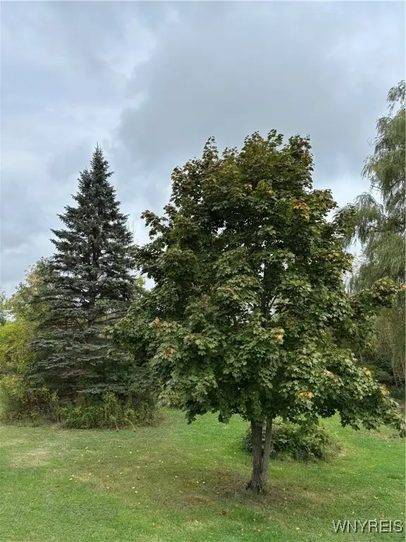 10403 Erie Road, Irving, NY 14081 - Image #3