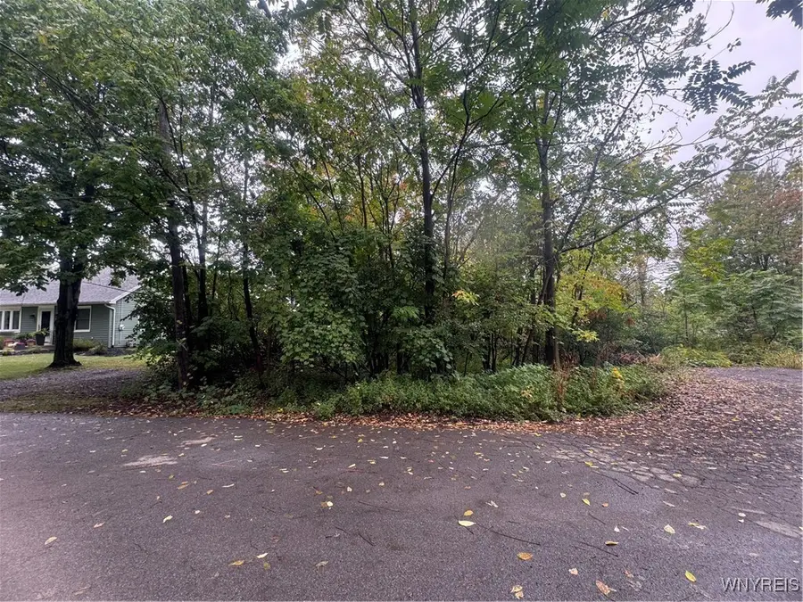 49 Auckland Avenue, Orchard Park, NY 14127 - Image #2