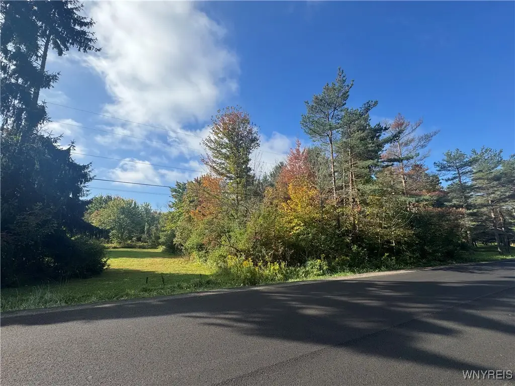 VL Behm Road, West Falls, NY 14170 - Image #1