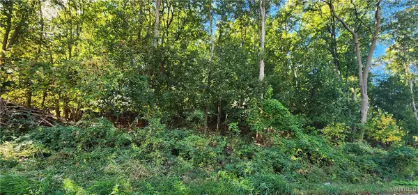 57 Hill Street, Lockport, NY 14094