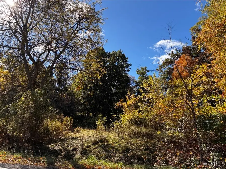 2295 Gowanda Zoar Road, Gowanda, NY 14070 - Image #2