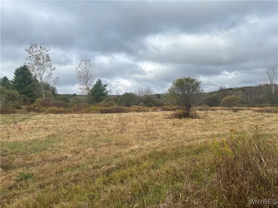 10087 Pratt Road, Houghton, NY 14744 - Image #2