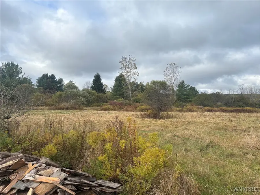 10087 Pratt Road, Houghton, NY 14744 - Image #3