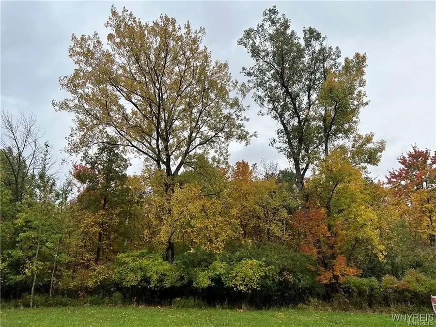 VL Milestrip Road, Hamburg Town, NY 14219 - Image #2