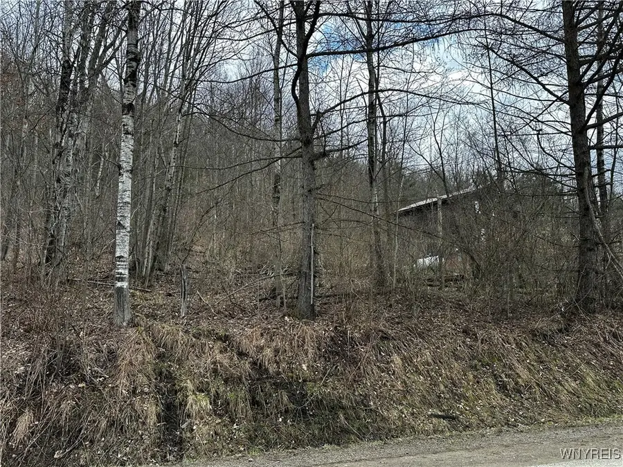 Porter Hollow Road, Great Valley, NY 14741 - Image #2