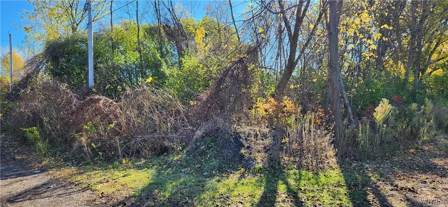 5613 Baker Avenue, Niagara Falls, NY 14304 - #3