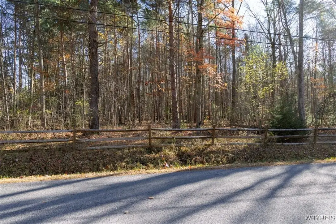 9881+9937 Larkin Road, Eden, NY 14057 - Image #1