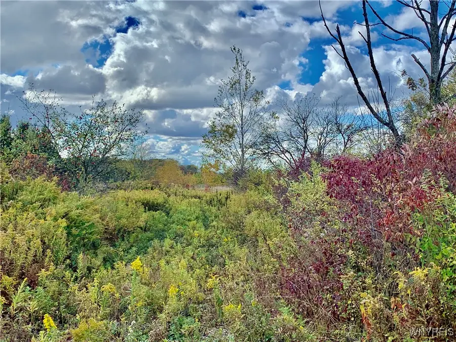 11733 North Road, Freedom, NY 14065 - Image #3