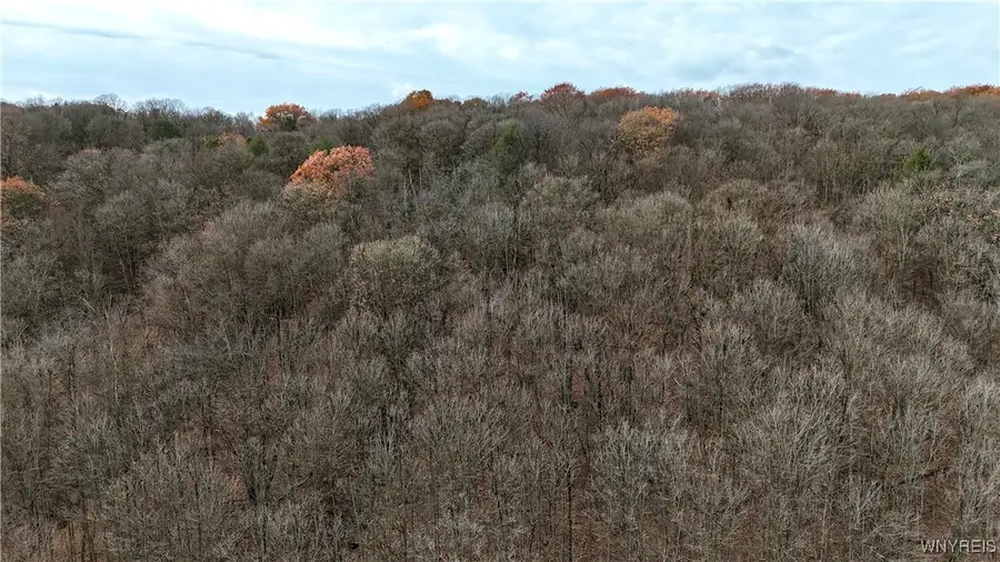 Wyoming Street, Warsaw, NY 14569 - Image #2