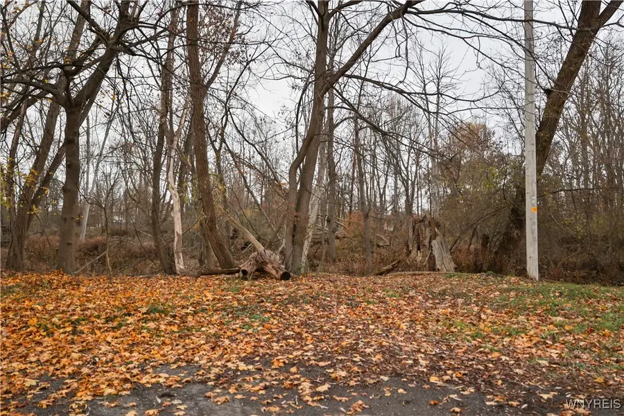 86 Milton Avenue, Buffalo, NY 14224 - Image #2