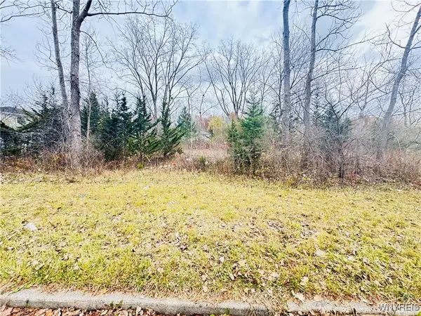 46 Fairgreen Drive, Buffalo, NY 14228