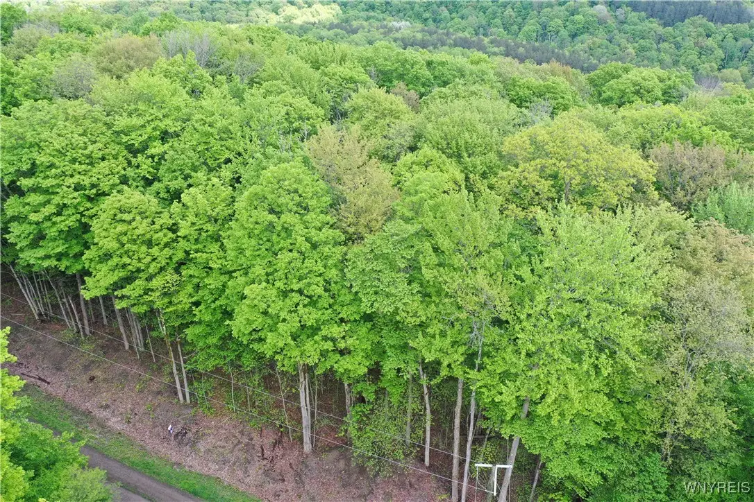 0 Dublin Terrace, Salamanca, NY 14779 - Image #1