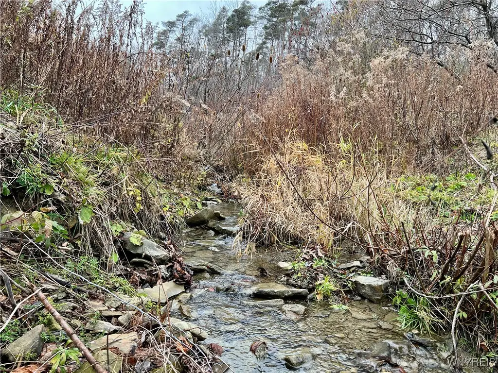 Feathers Creek Road, Belmont, NY 14813 - Image #1