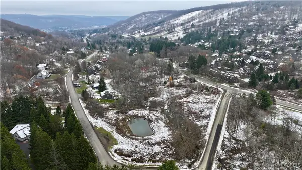 Hencoop Hollow Road, Ellicottville, NY 14731