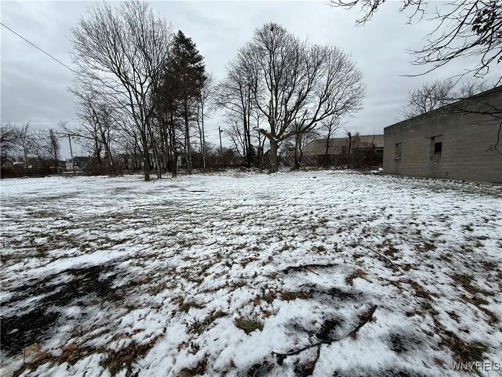 27 Pauline Street, Buffalo, NY 14214 - Image #1