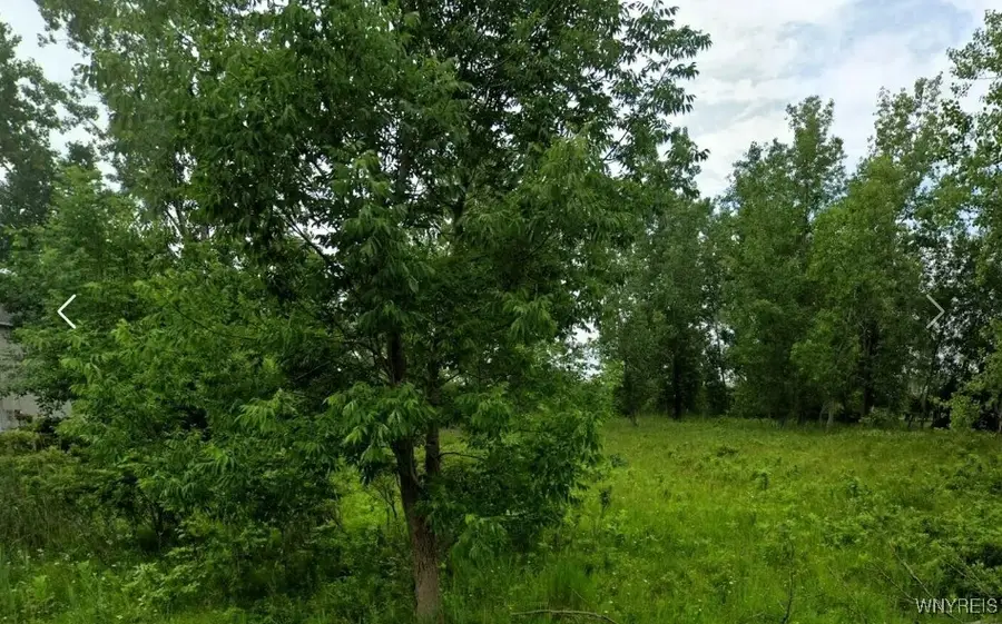 445 Seneca Creek Road, Buffalo, NY 14224 - Image #2