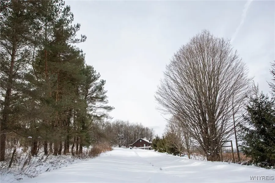 8397 Rohr Hill Road, East Otto, NY 14729 - Image #3