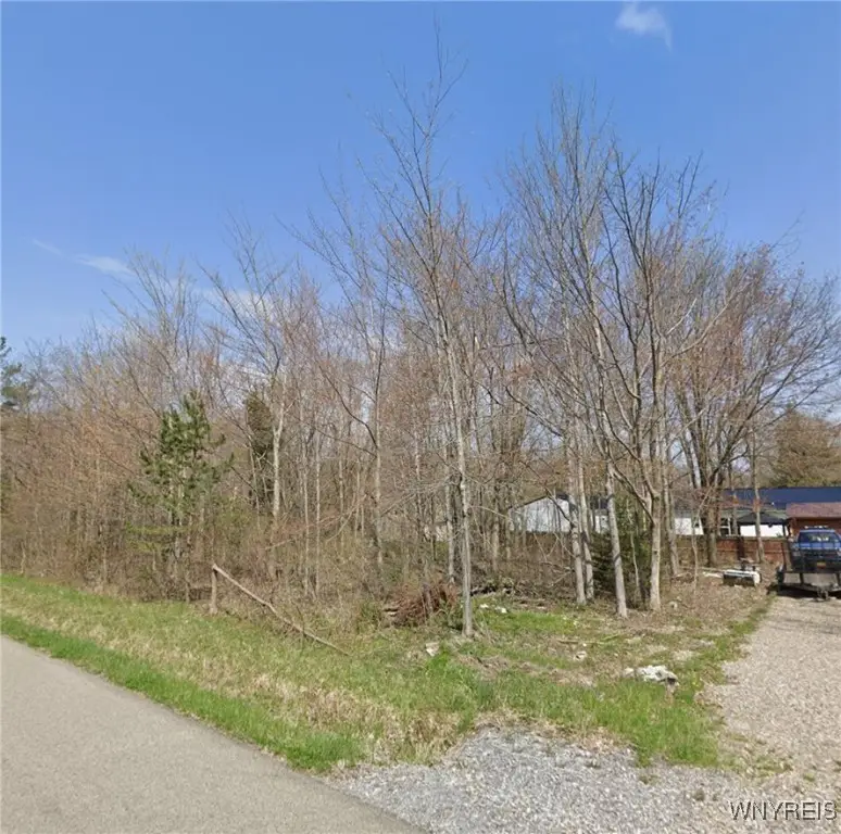 Madison Avenue, Angola, NY 14006 - Image #1