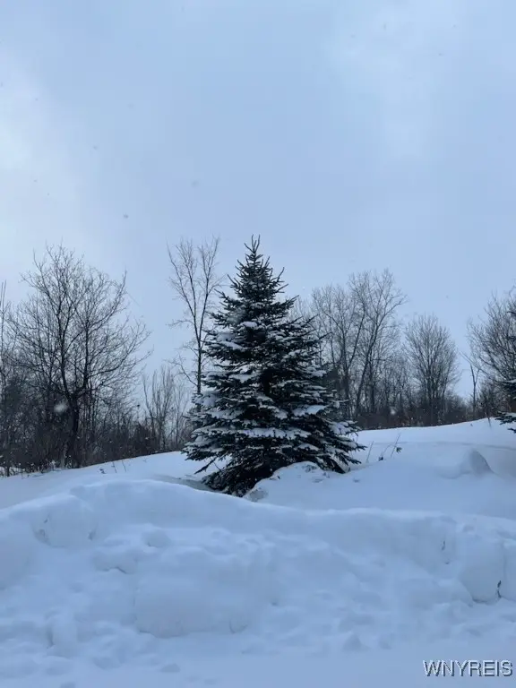 0 North Street, Arcade, NY 14009