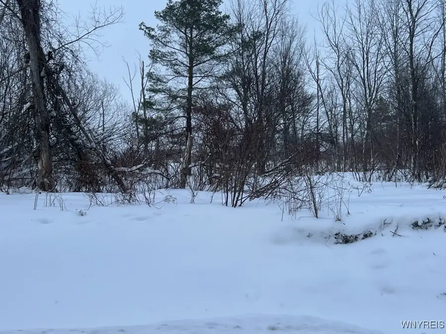 0 North Street, Arcade, NY 14009 - Image #3