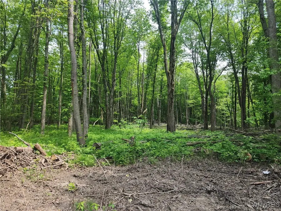 Lake Shore Road, Angola, NY 14006 - Image #2