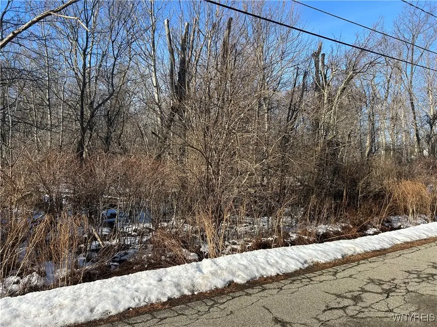 7336 Derby Road, Derby, NY 14047 - #3